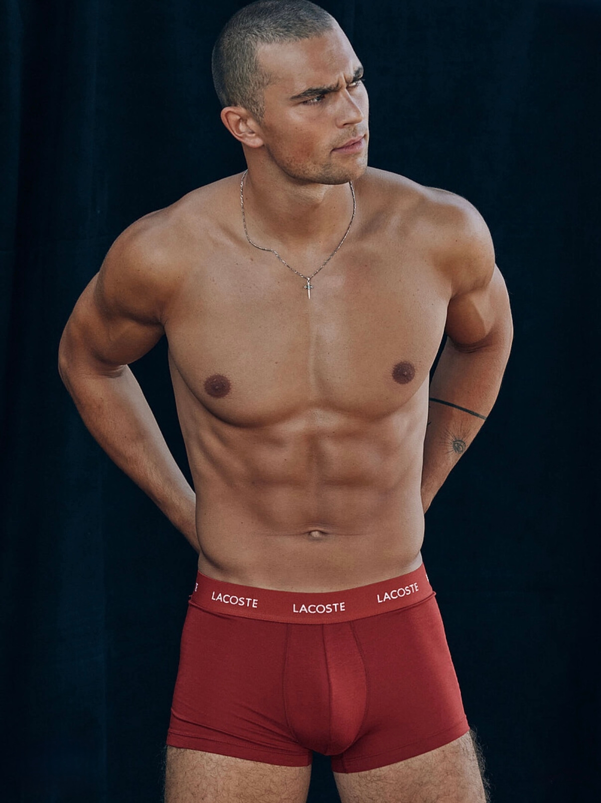 Model Image