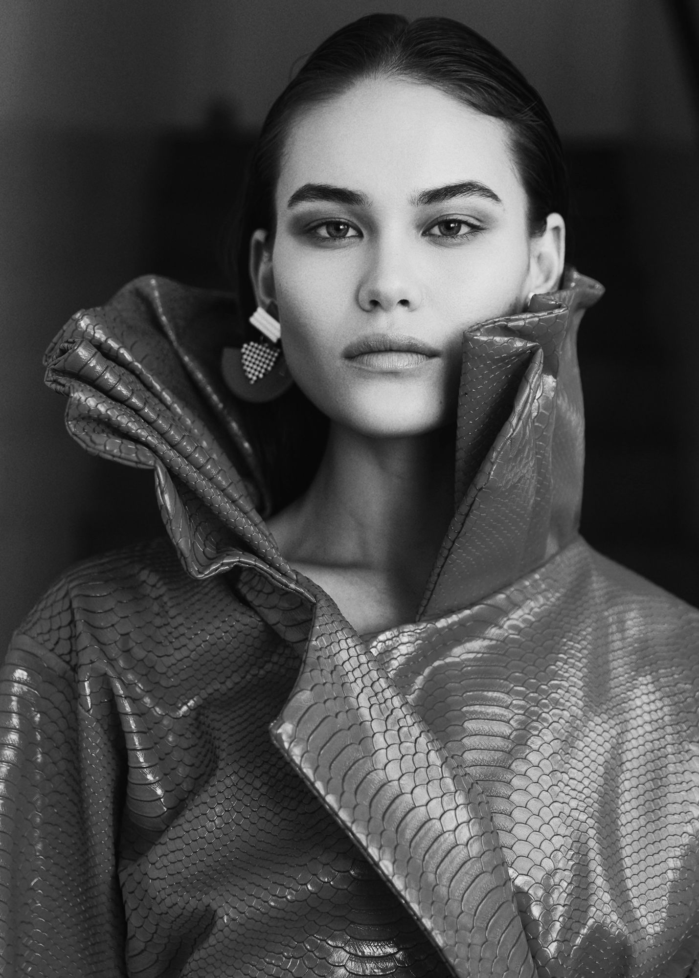 Model Image
