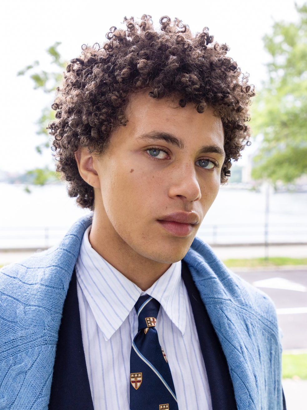 Model Image