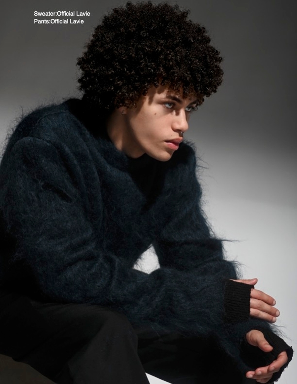 Model Image
