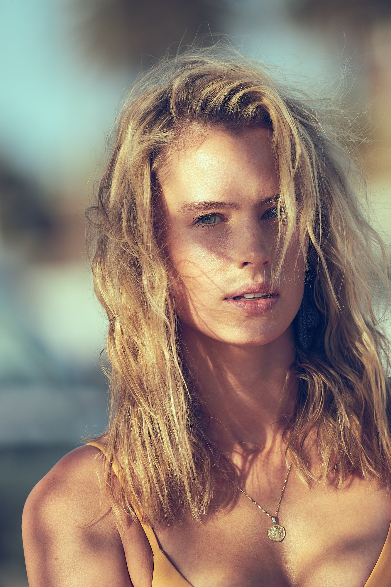 Model Image