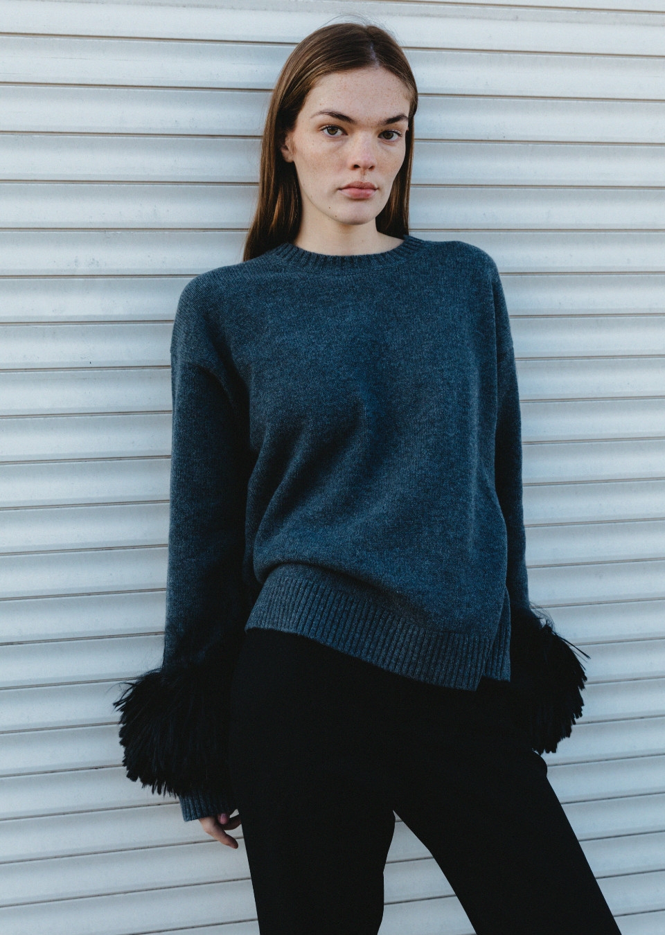 Model Image