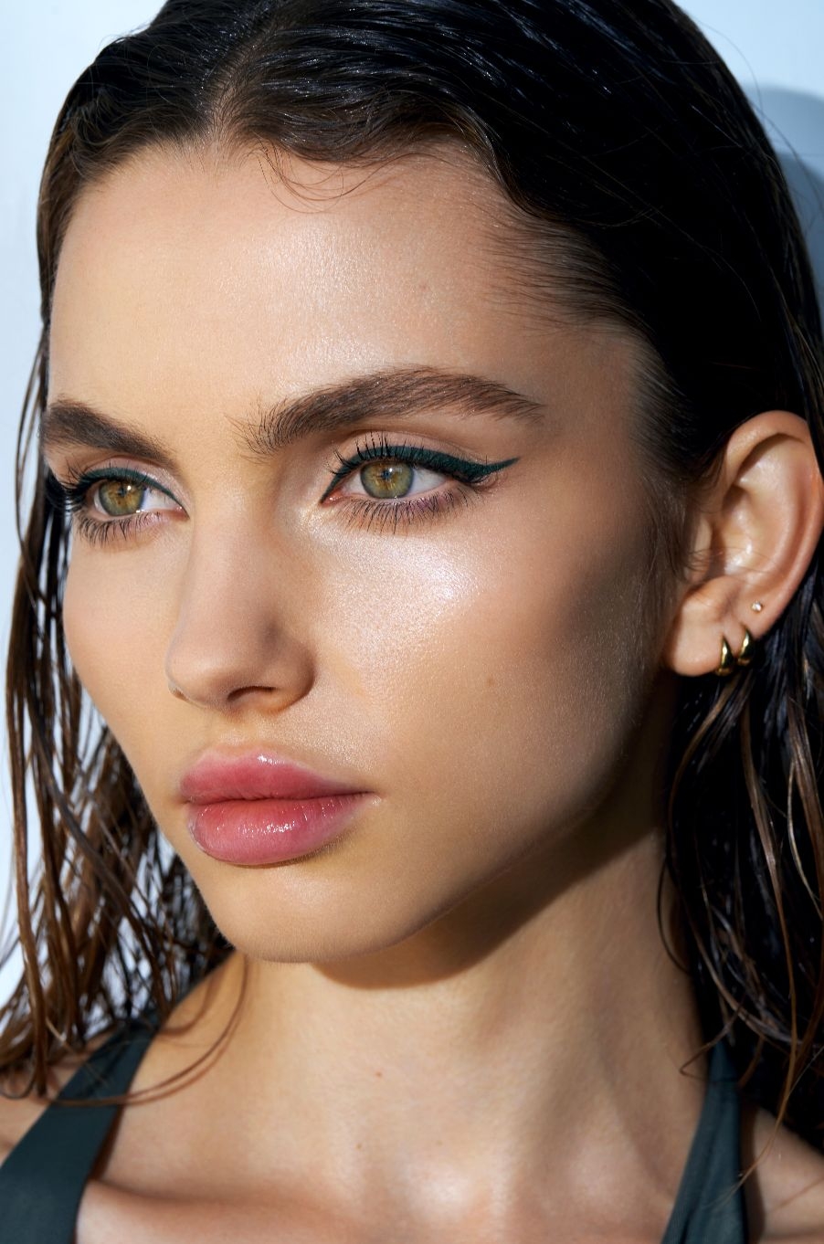 Model Image