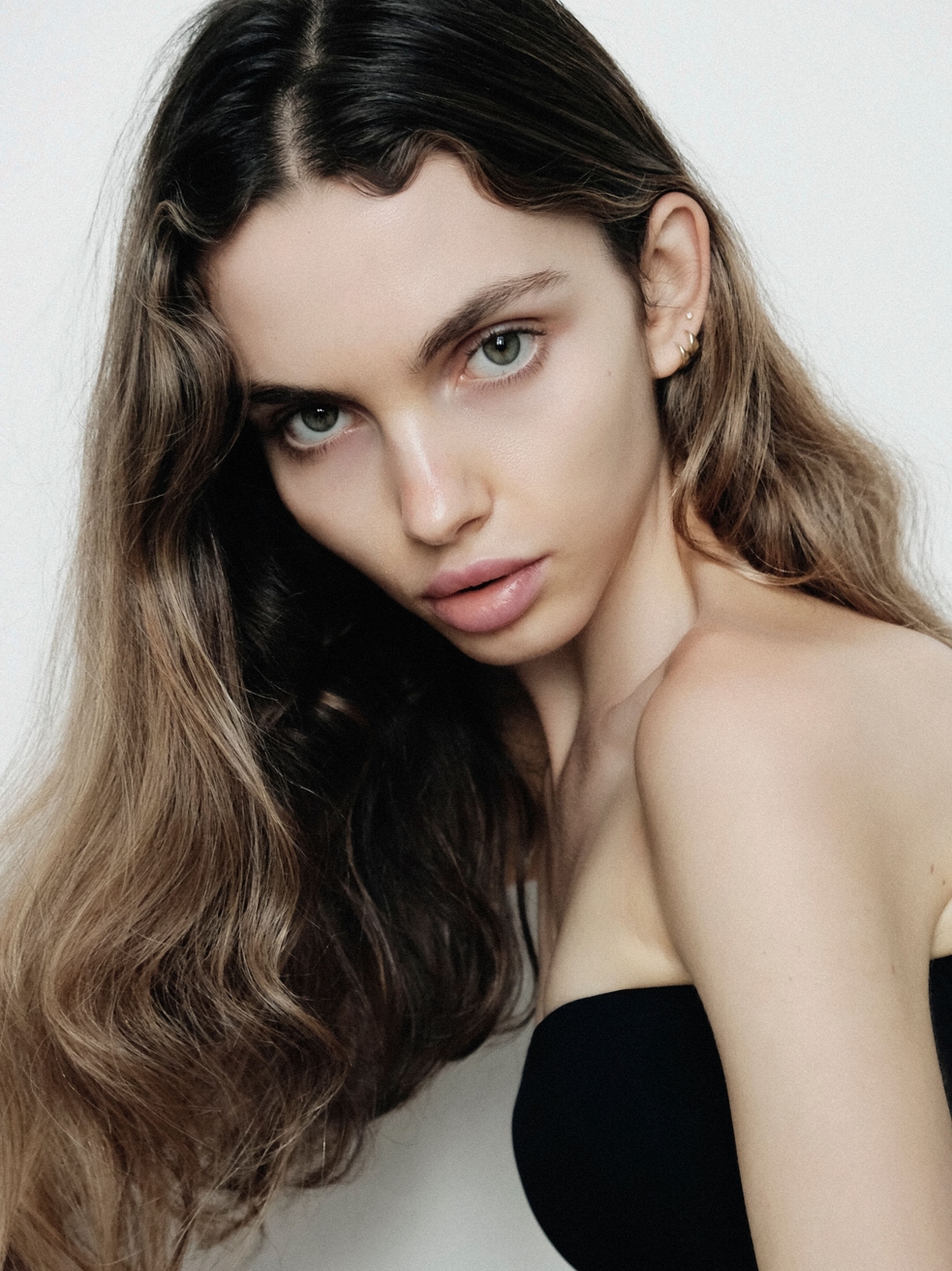 Model Image