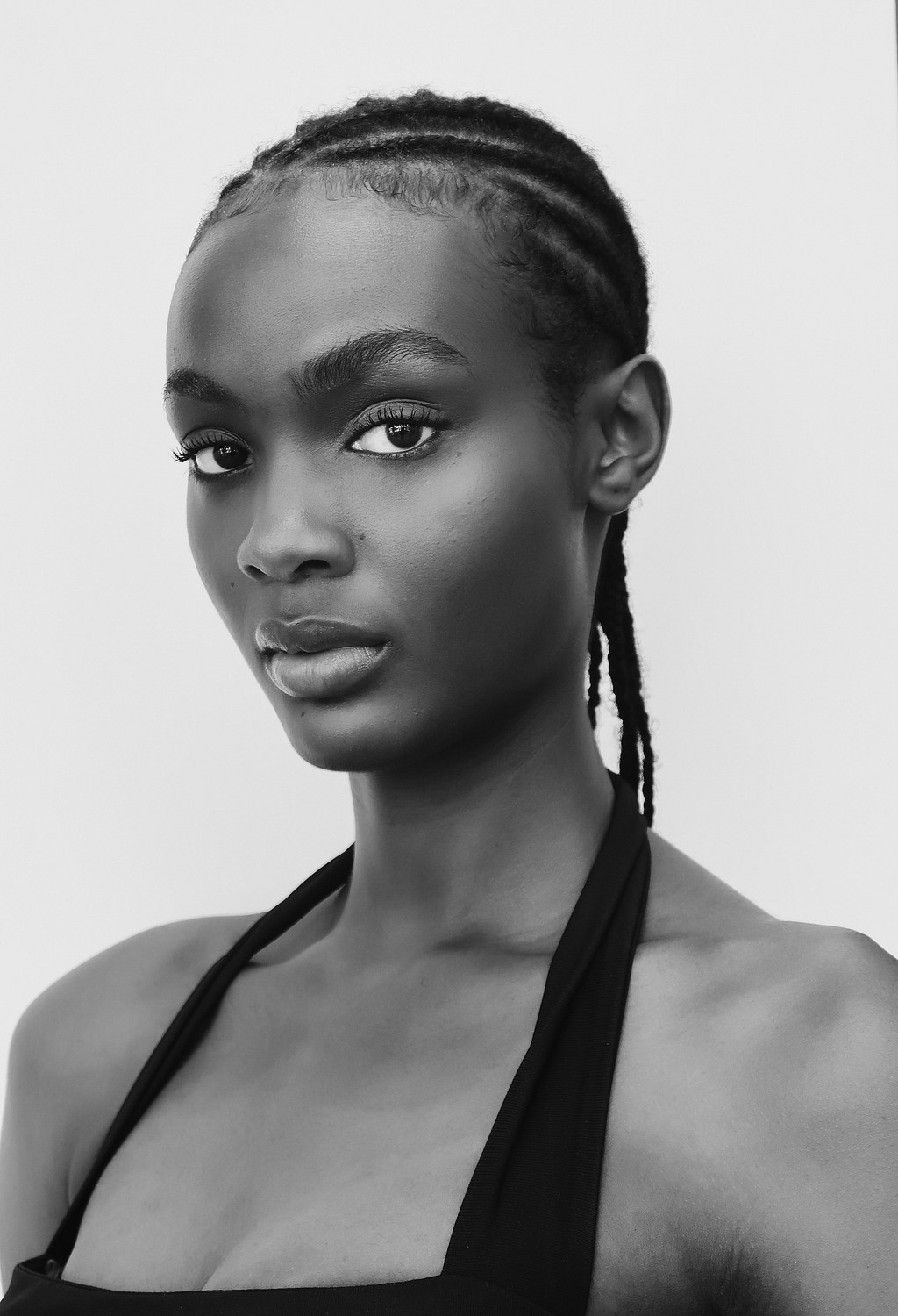 Model Image