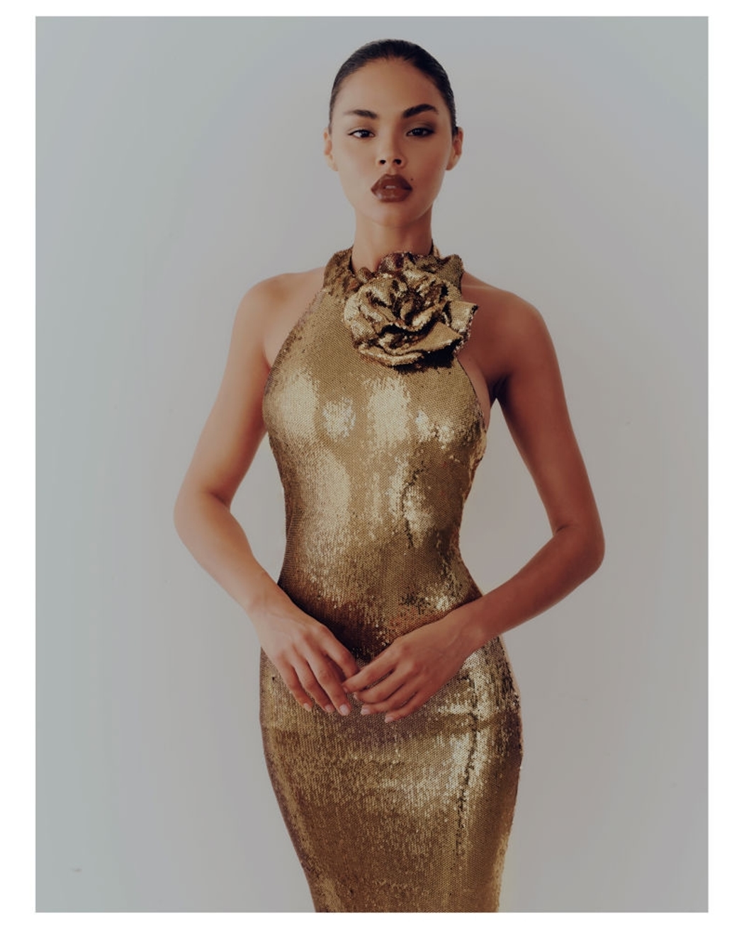 Model Image