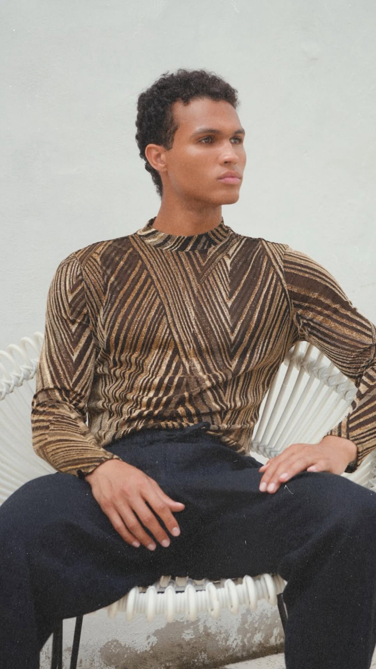 Model Image