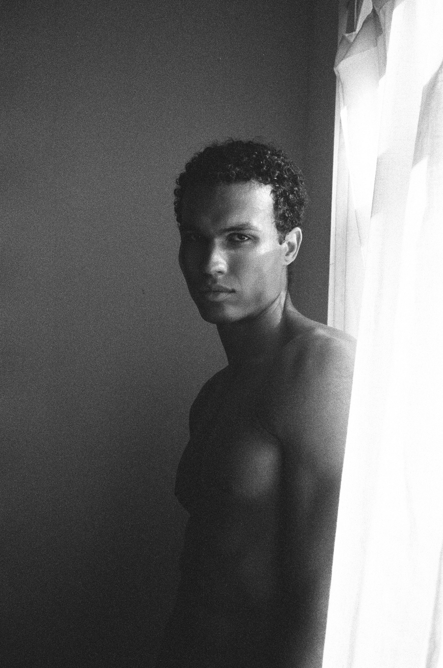Model Image