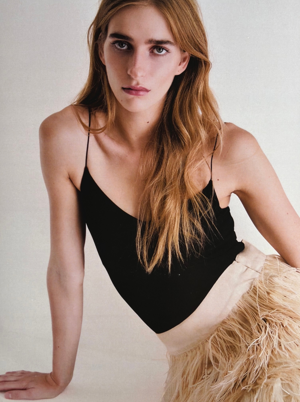 Model Image