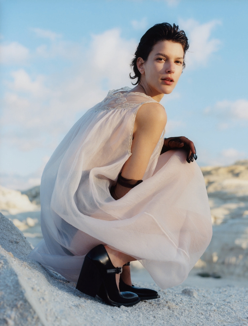 Model Image