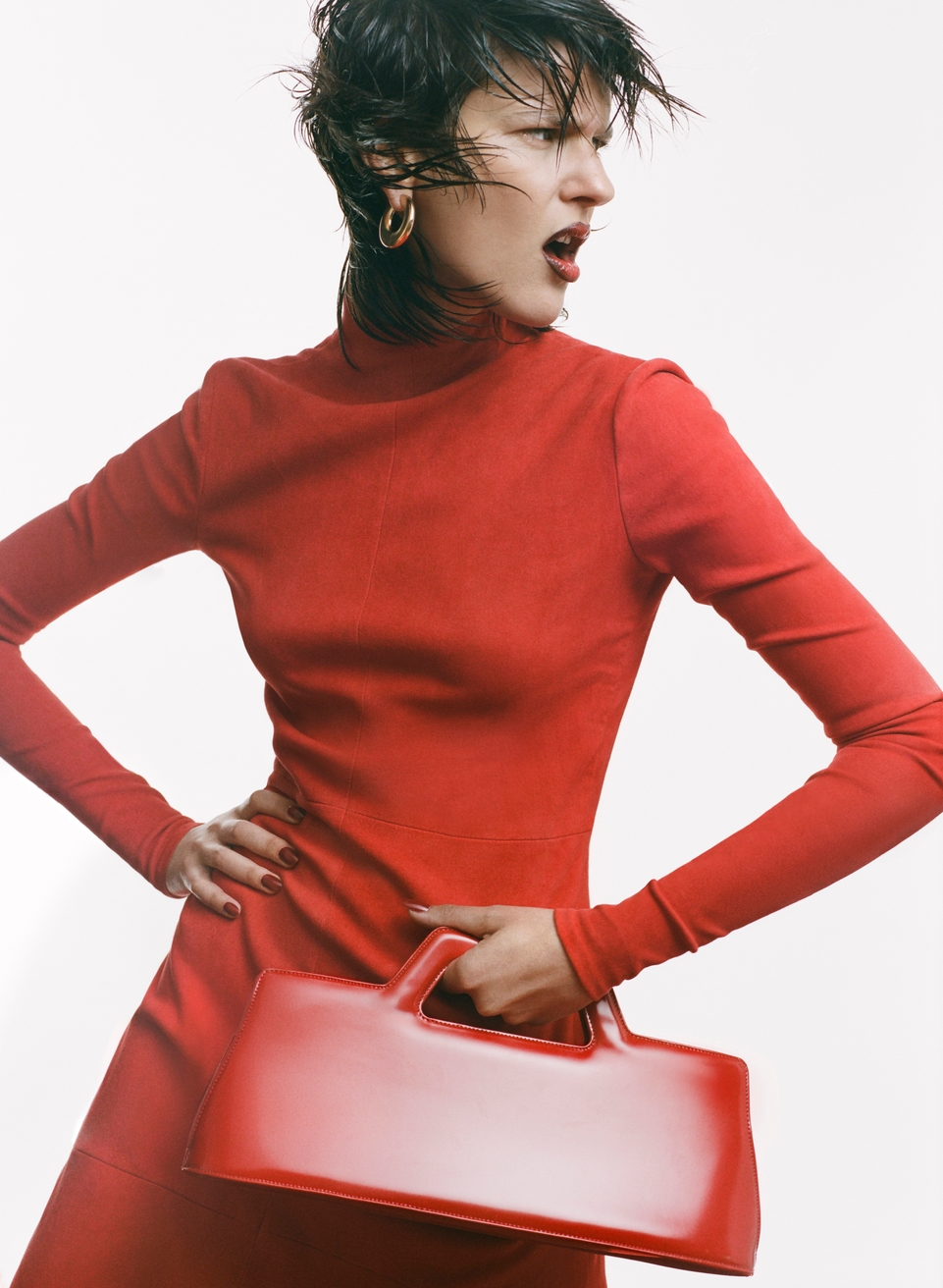 Model Image