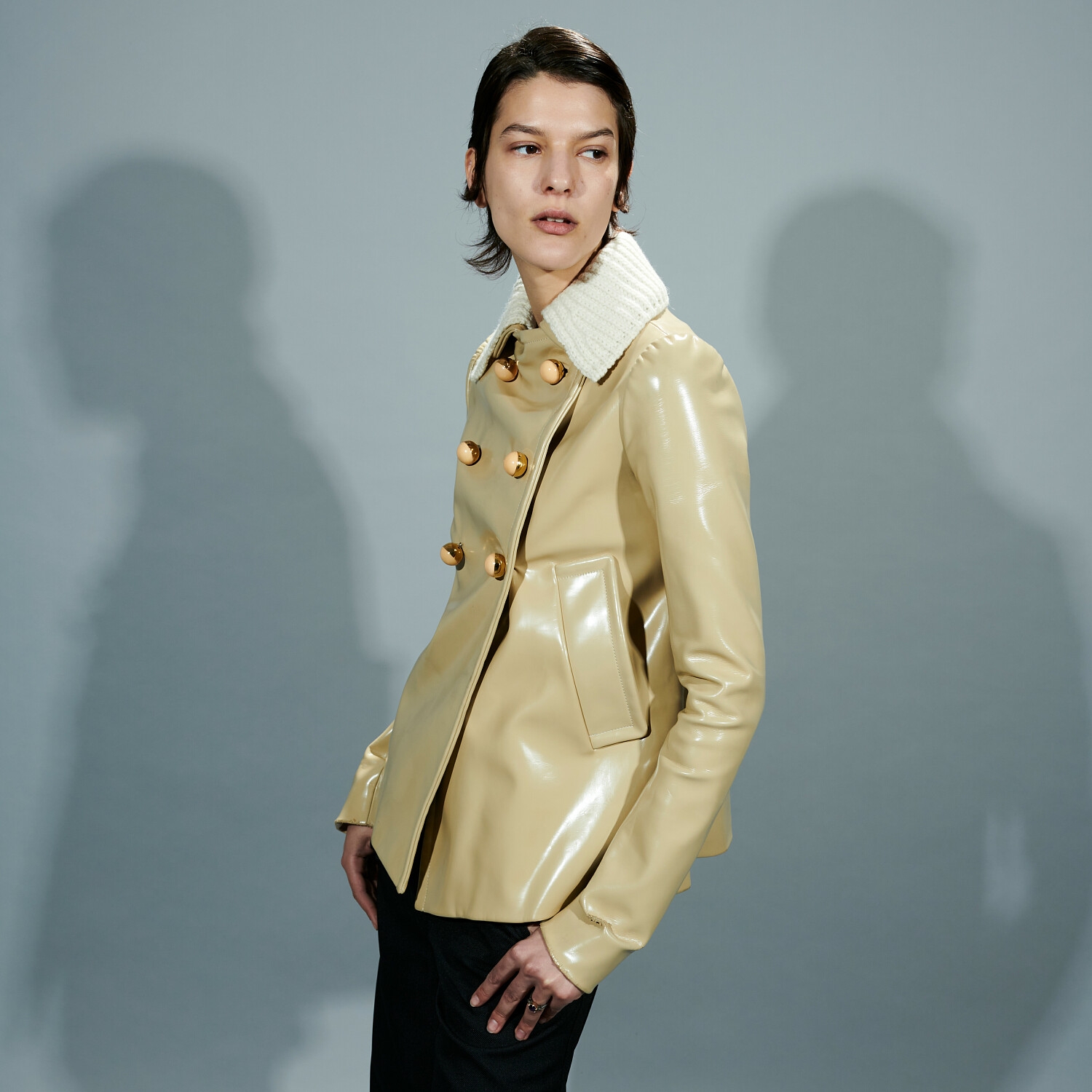 Model Image