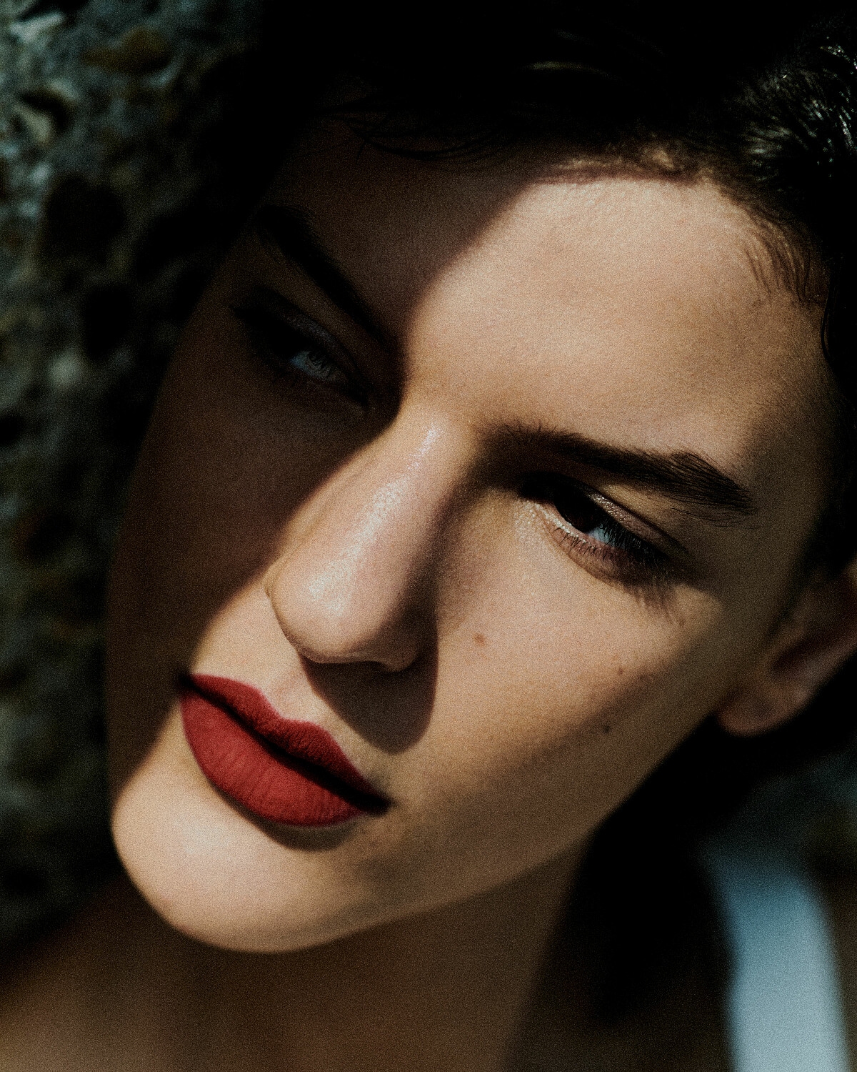 Model Image