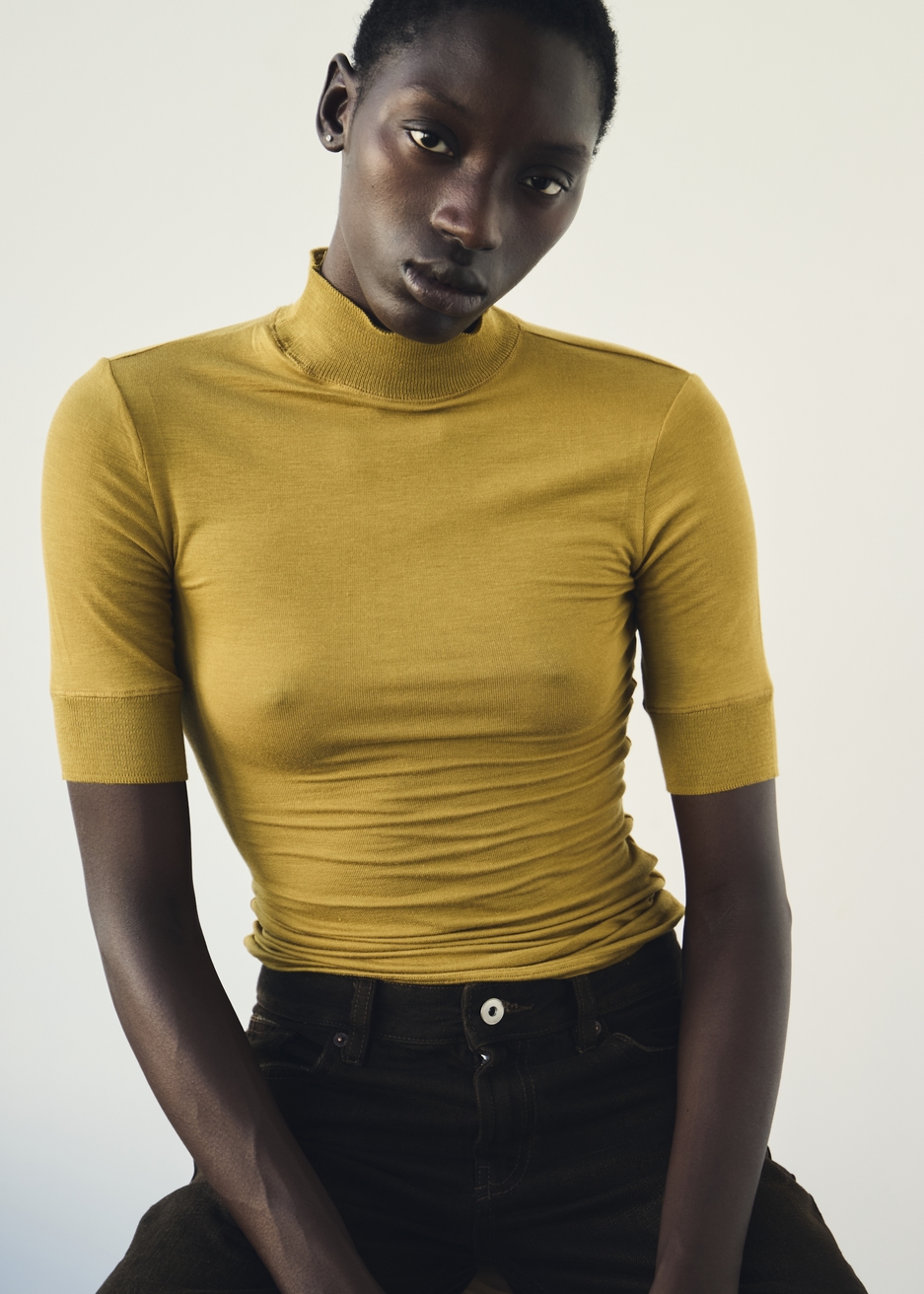 Model Image
