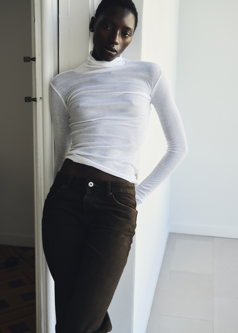 Model Image