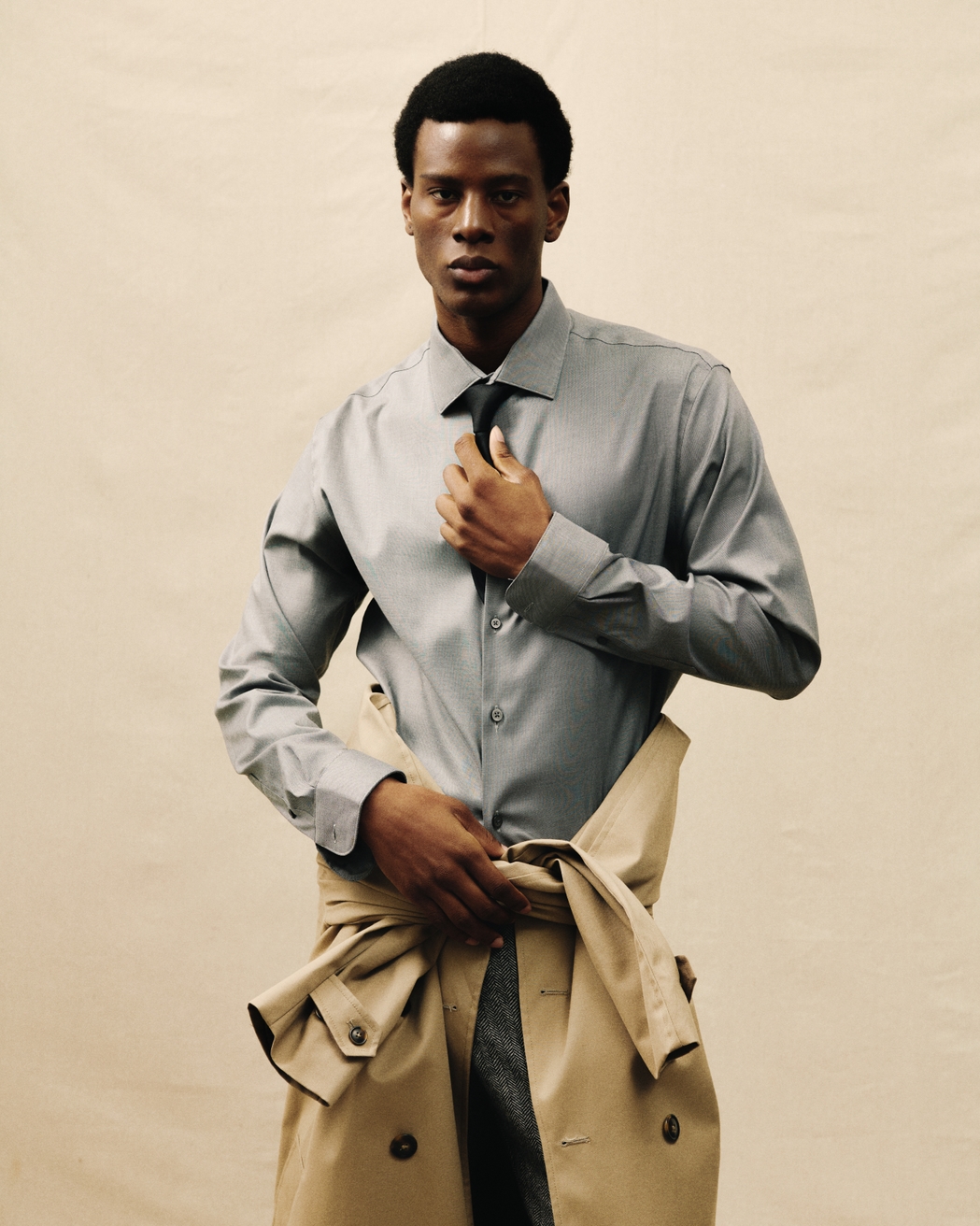 Model Image