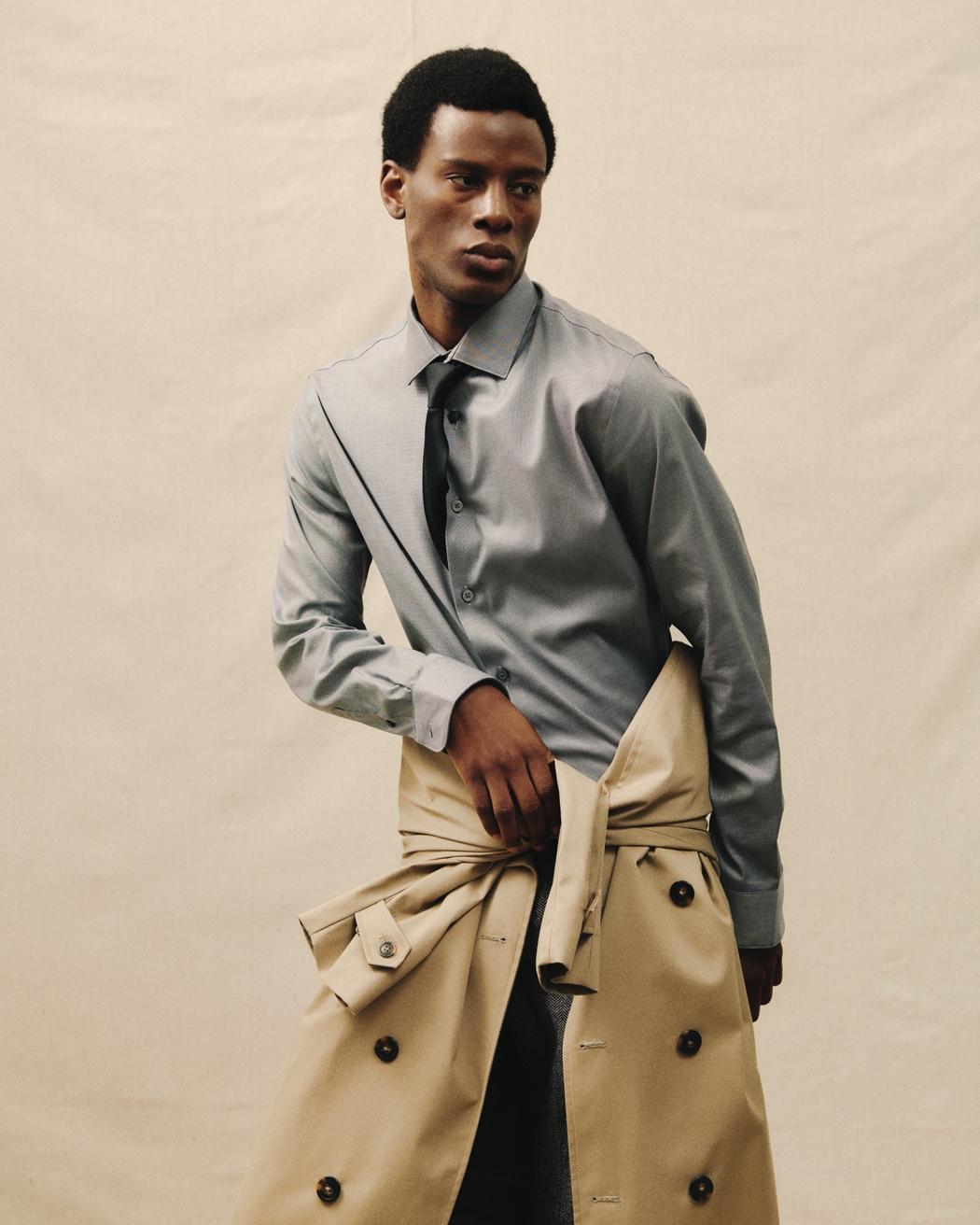 Model Image