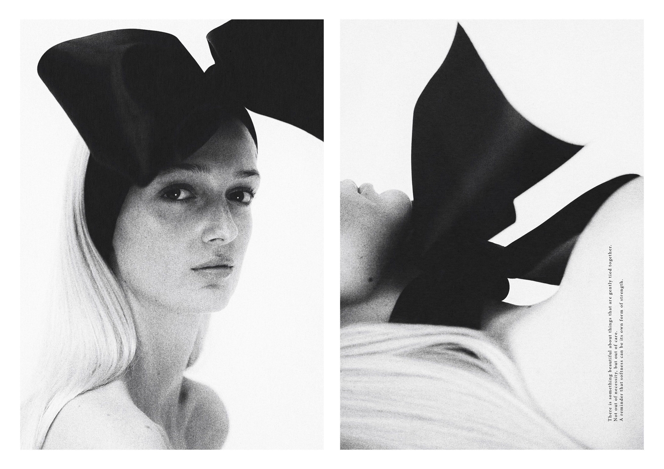 Model Image