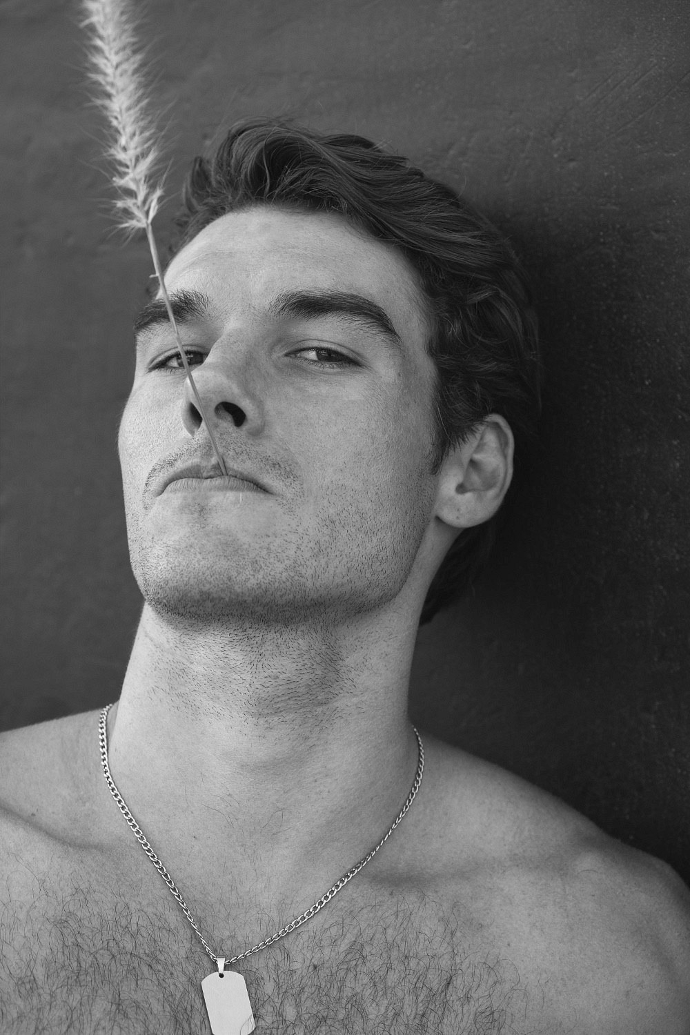 Model Image