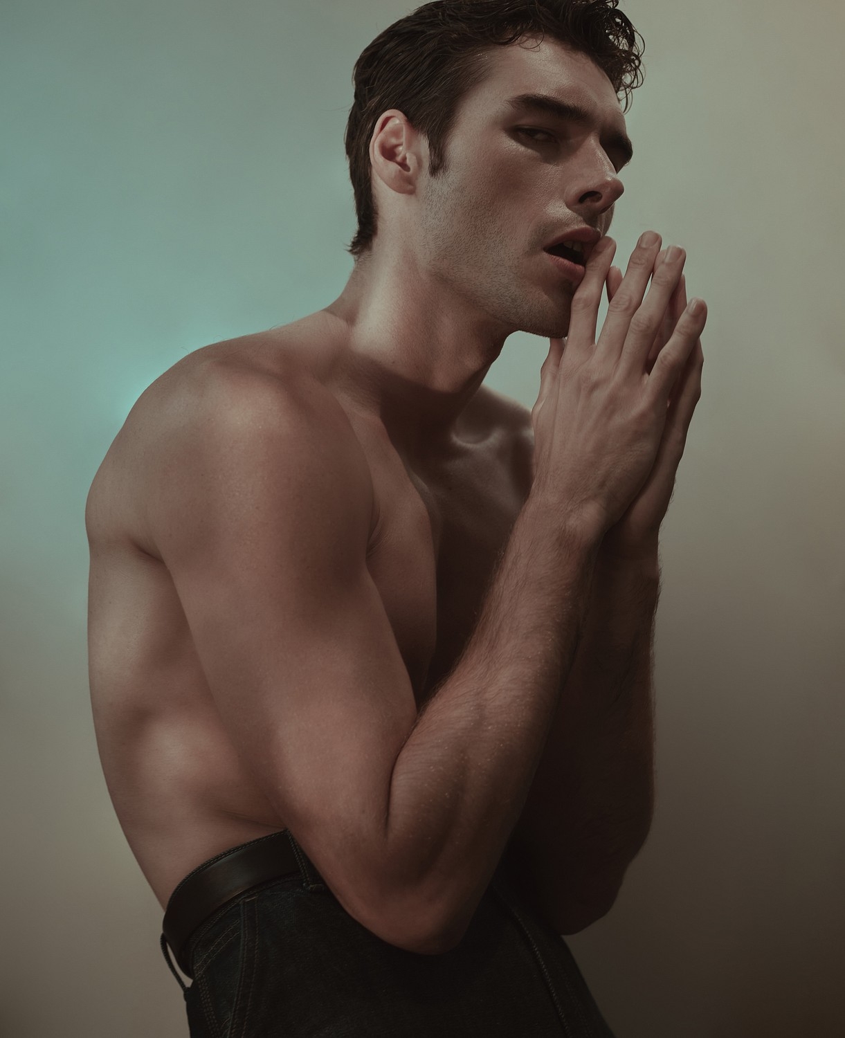Model Image
