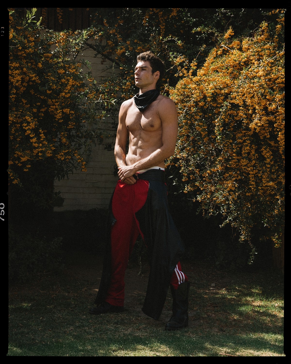 Model Image