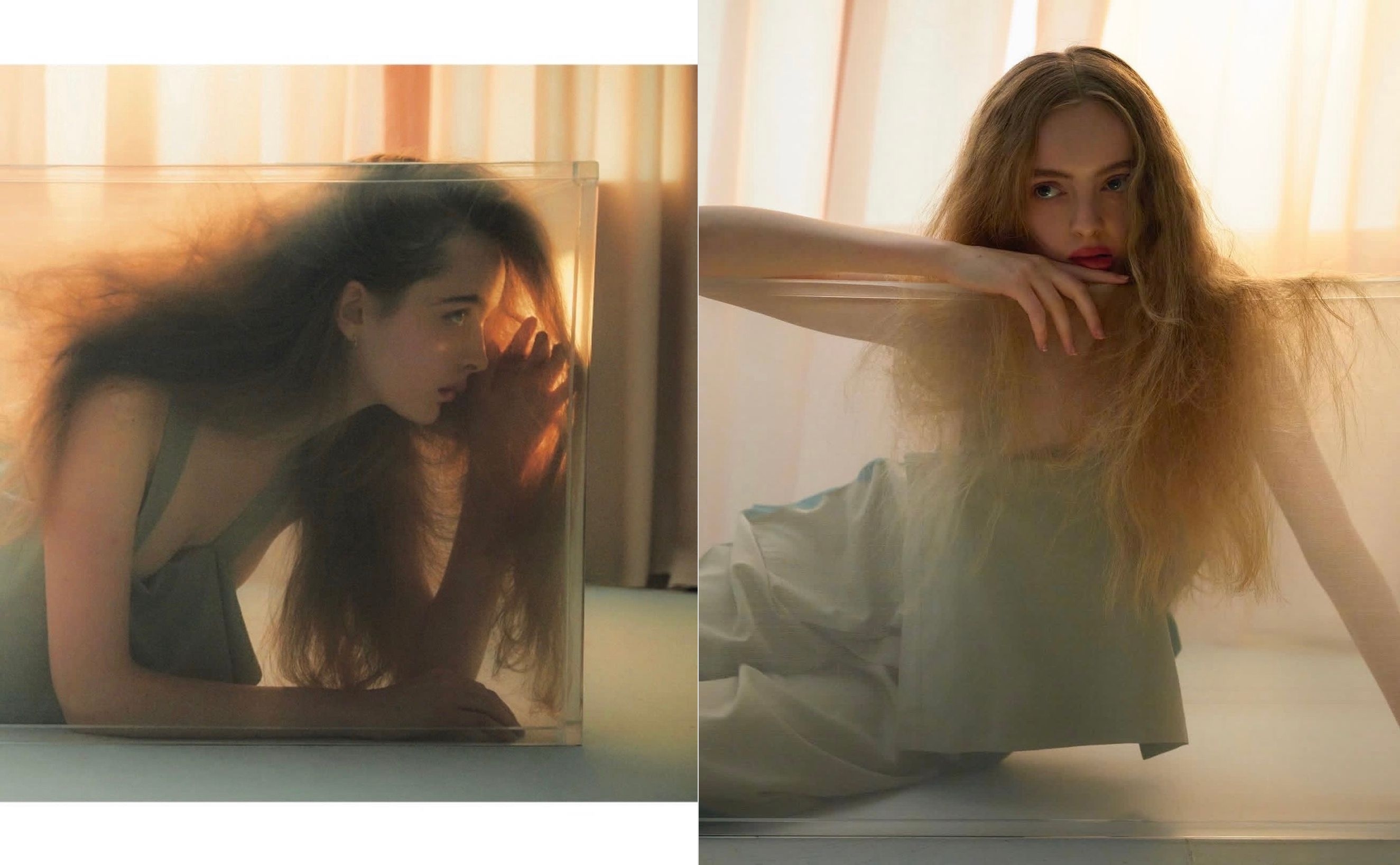 Model Image