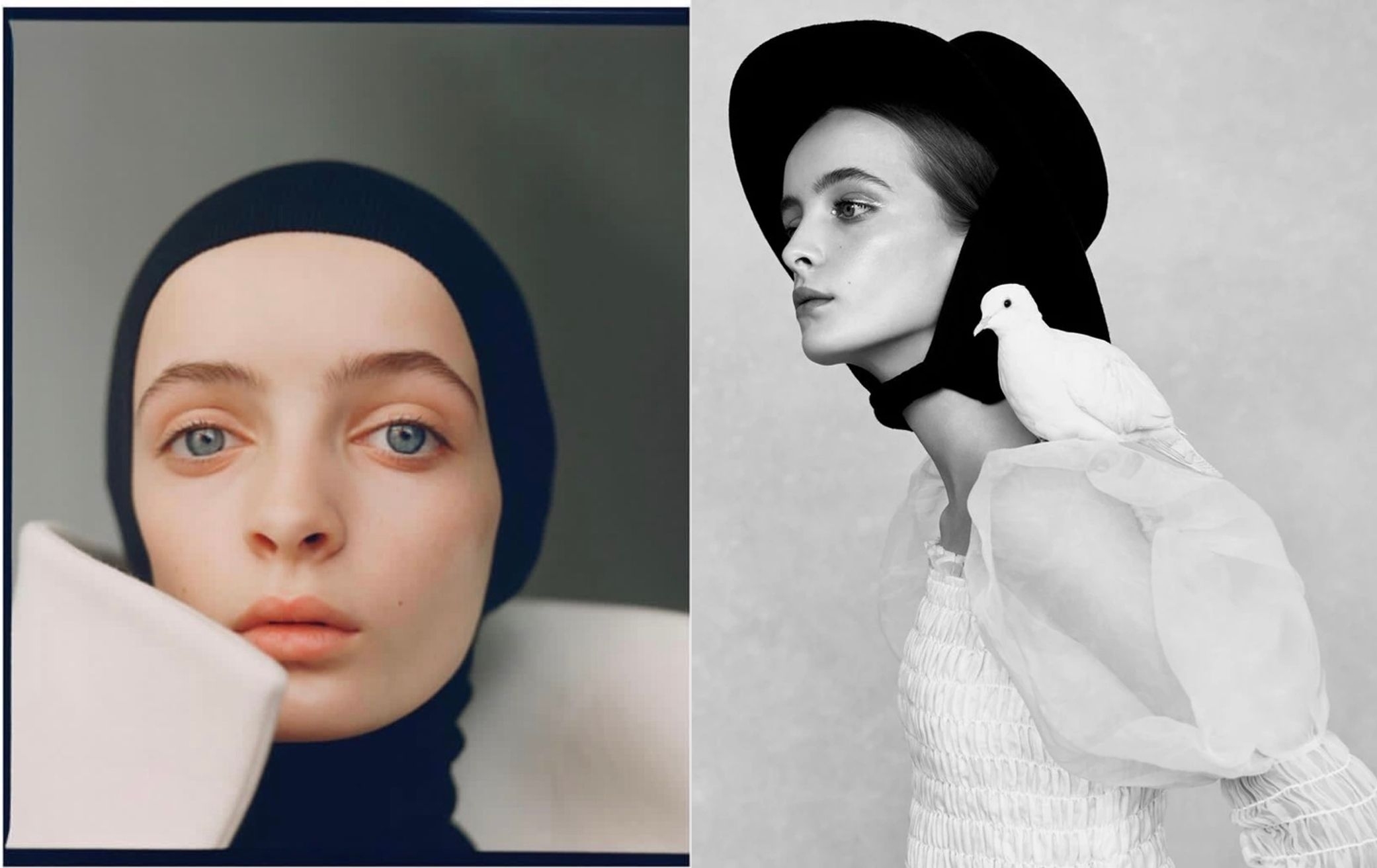Model Image