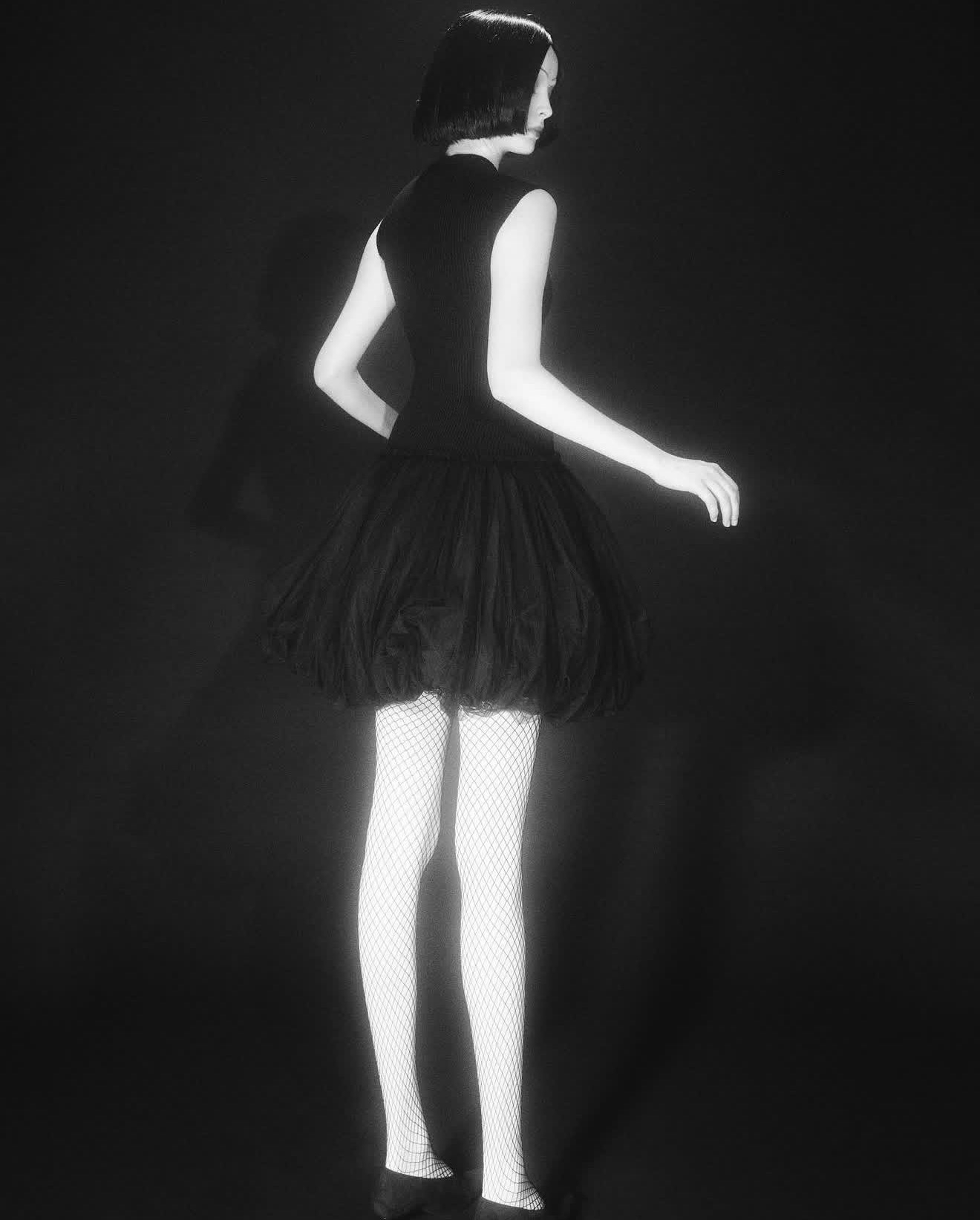 Model Image