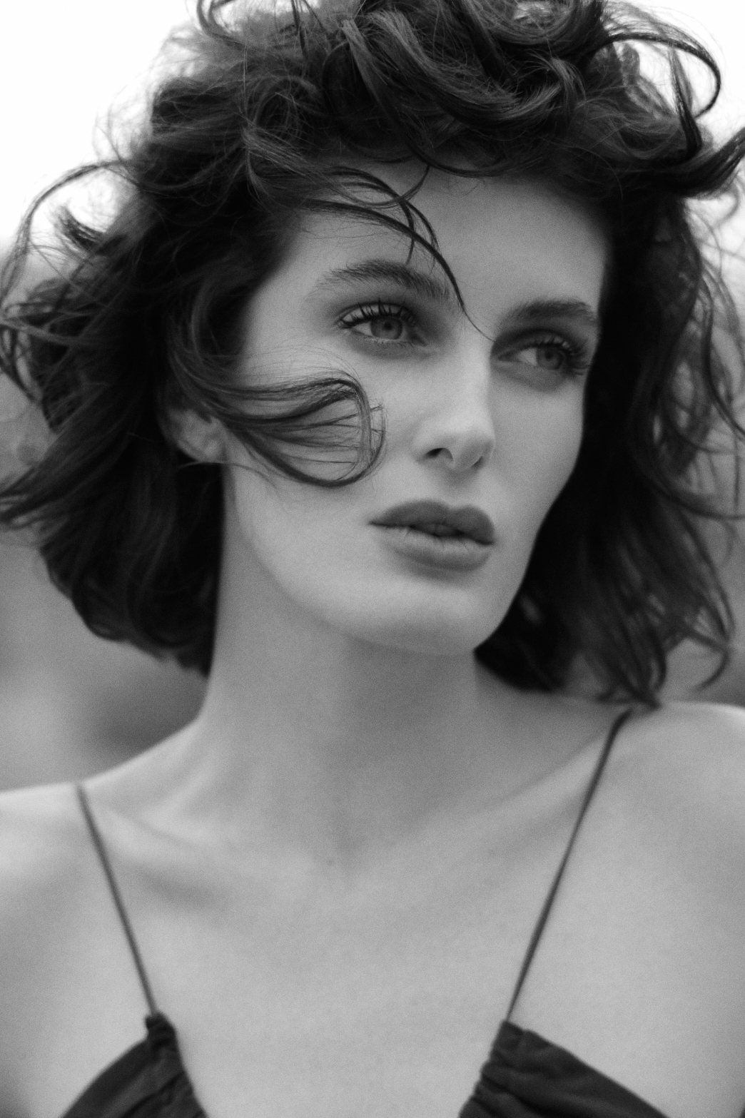 Model Image