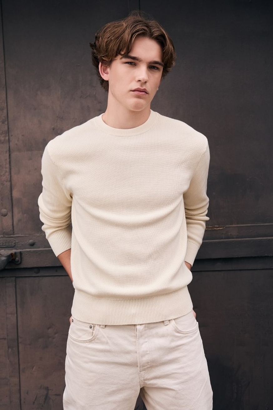 Model Image