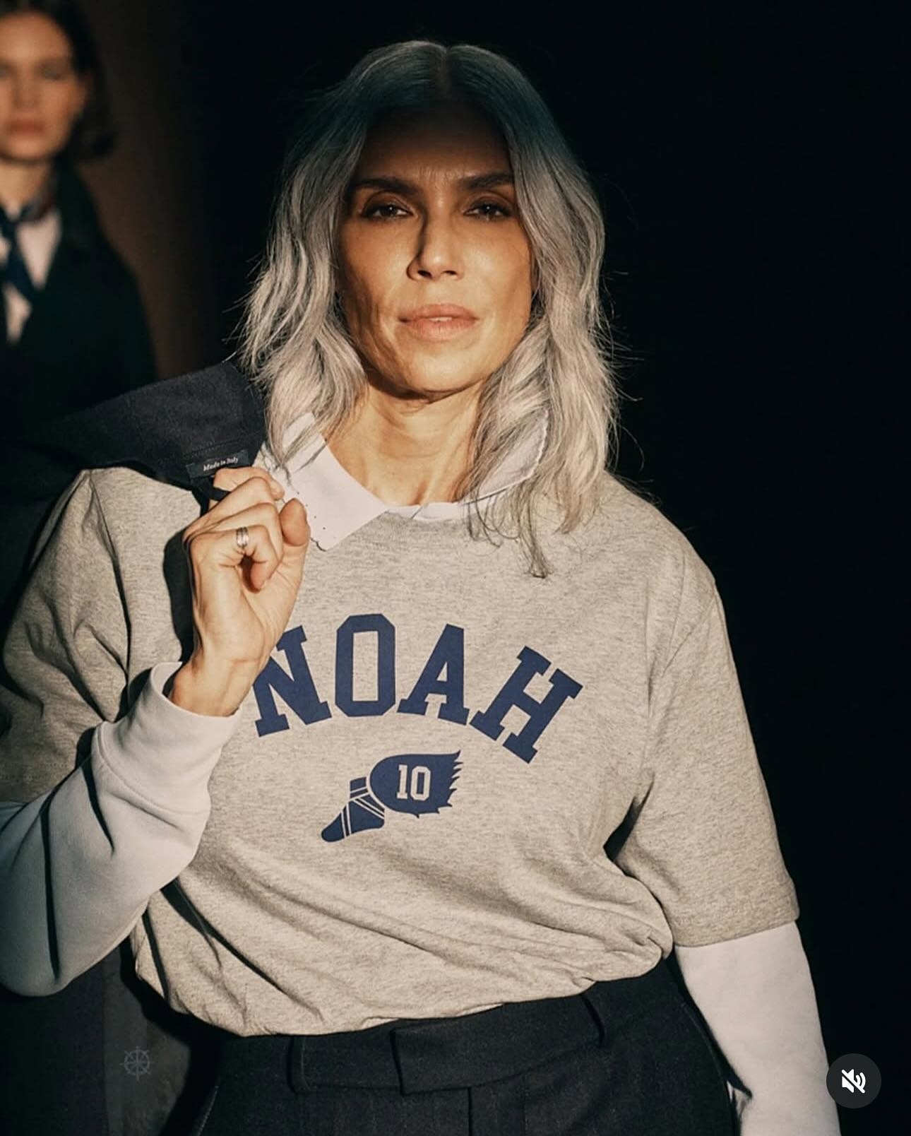 Model Image