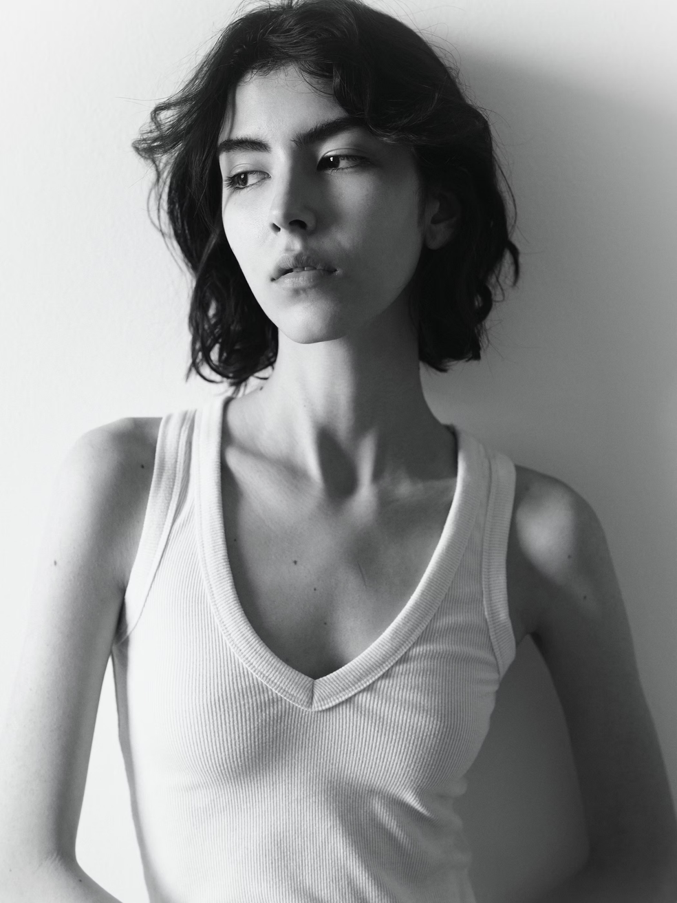 Model Image