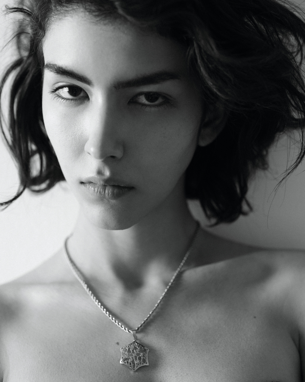 Model Image