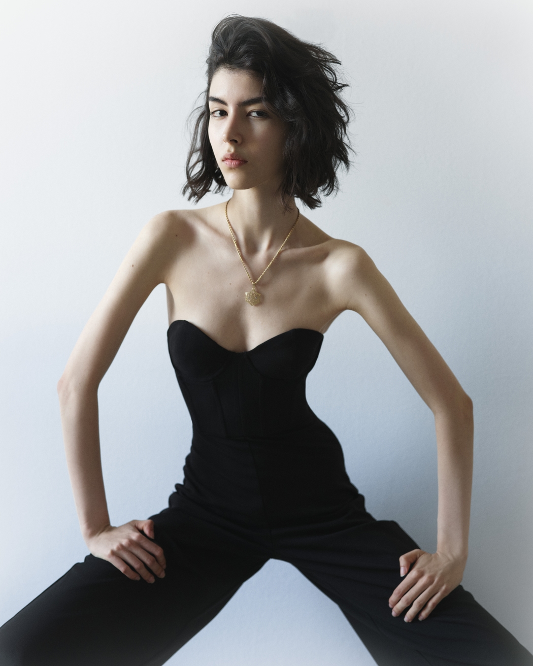 Model Image