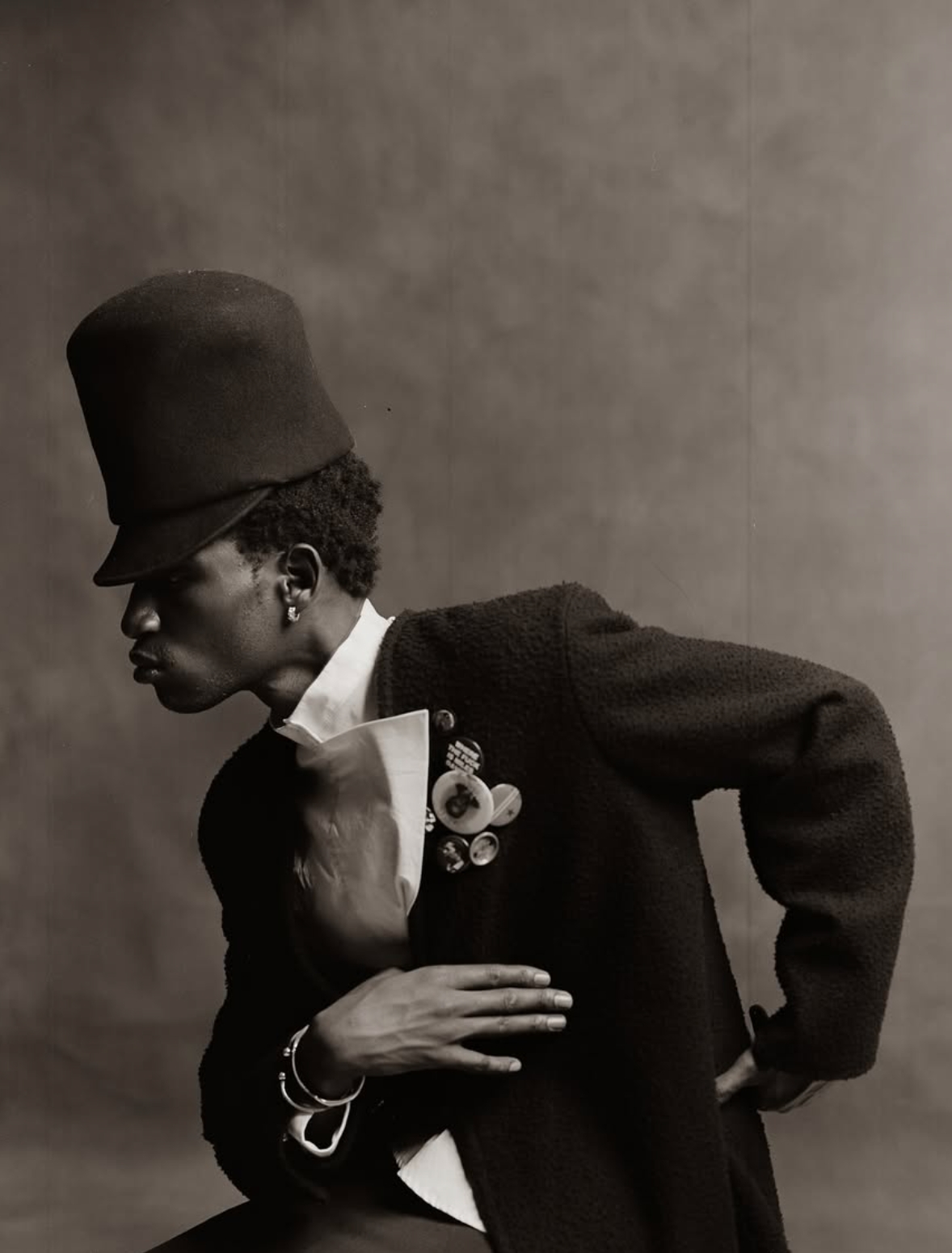 Model Image