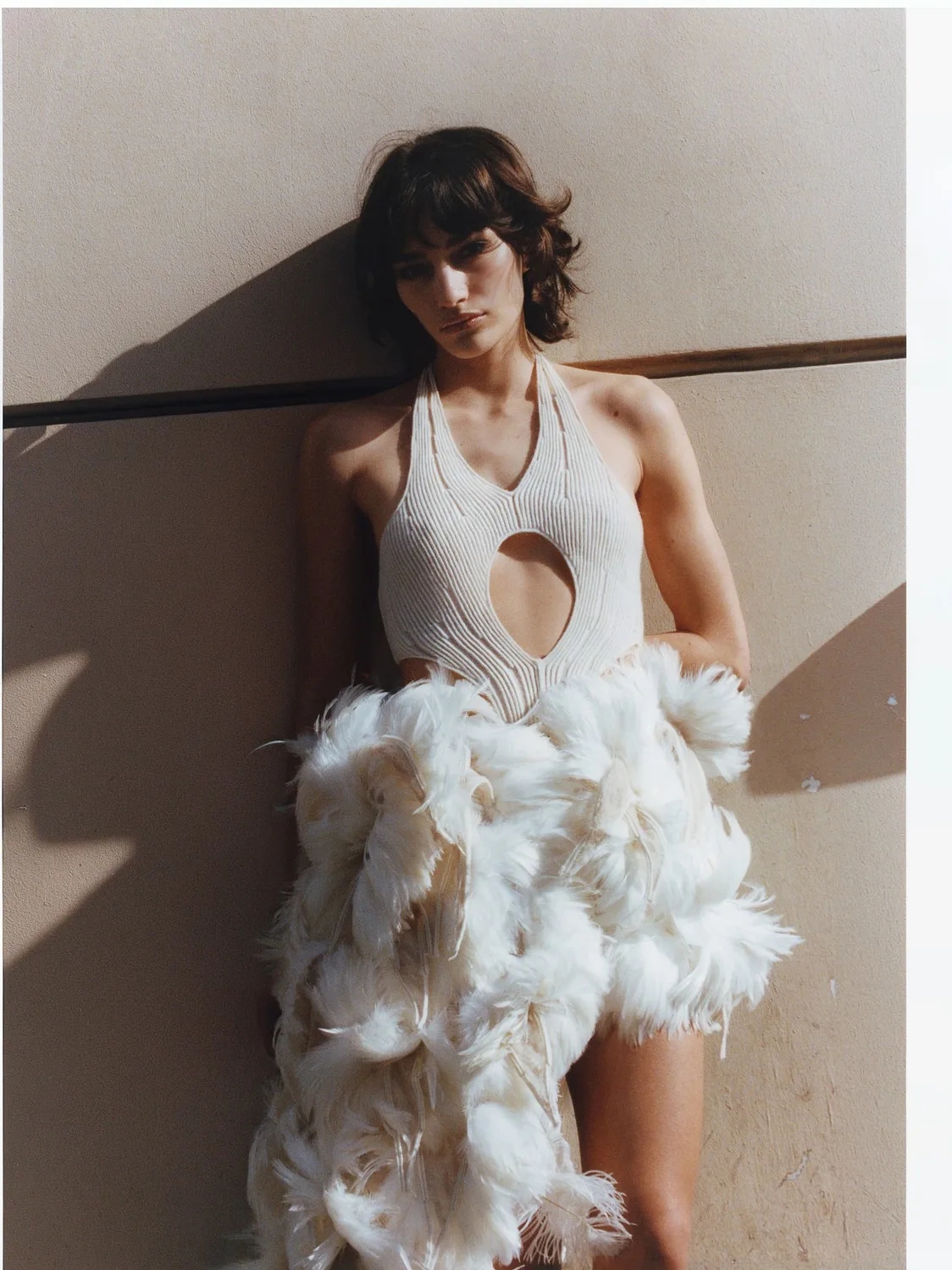 Model Image