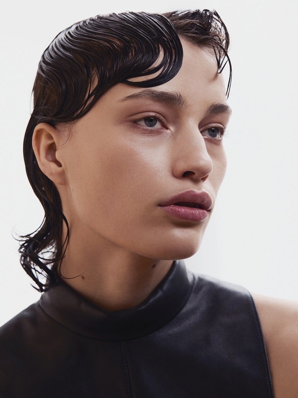 Model Image