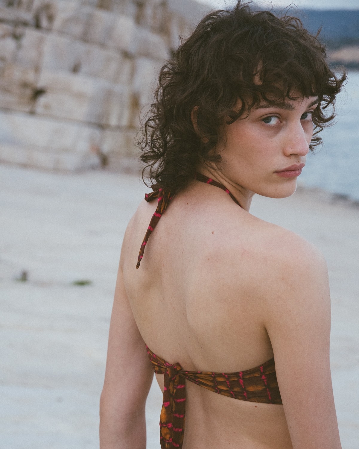 Model Image