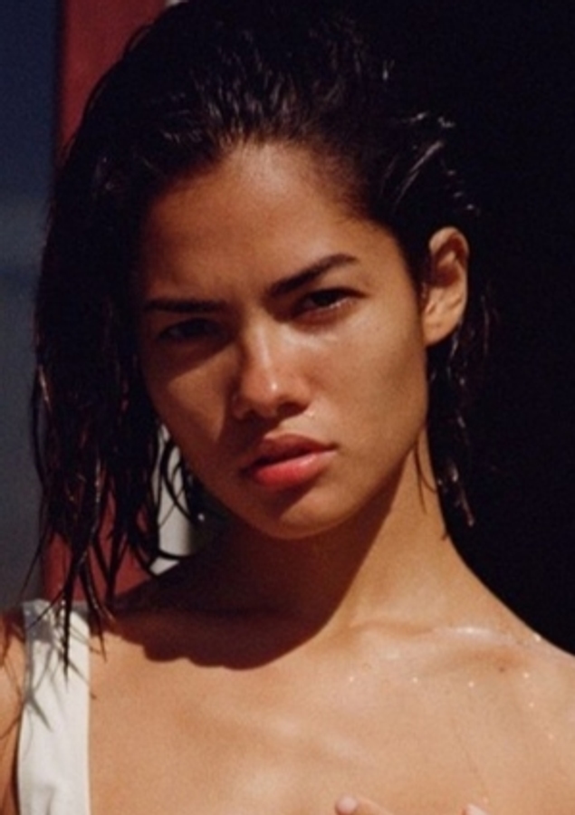 Model Image