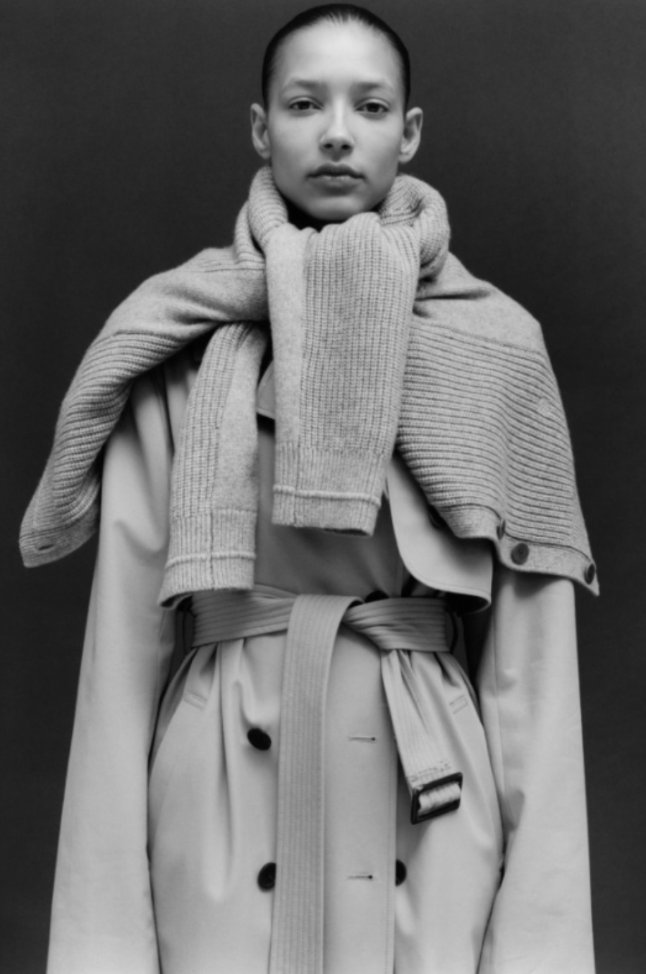 Model Image