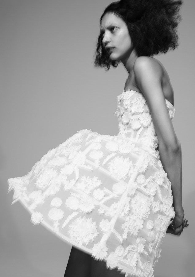 Model Image