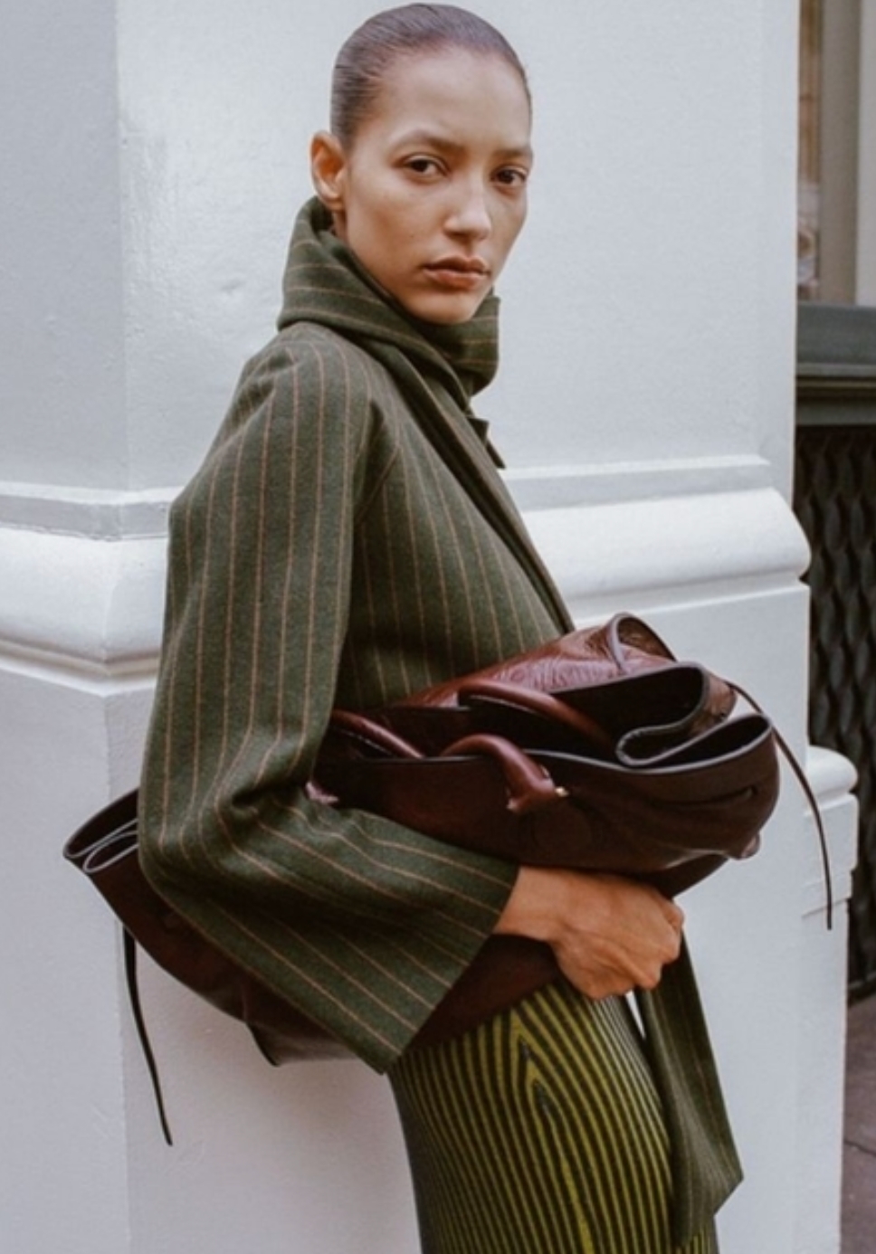 Model Image