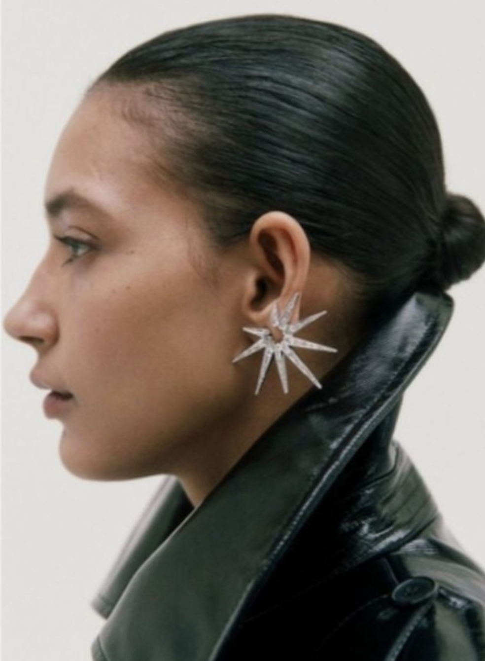 Model Image
