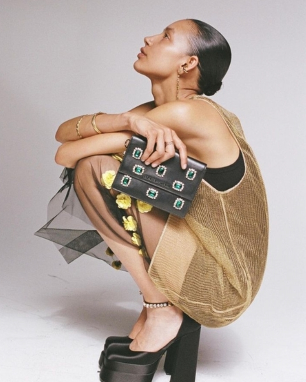 Model Image