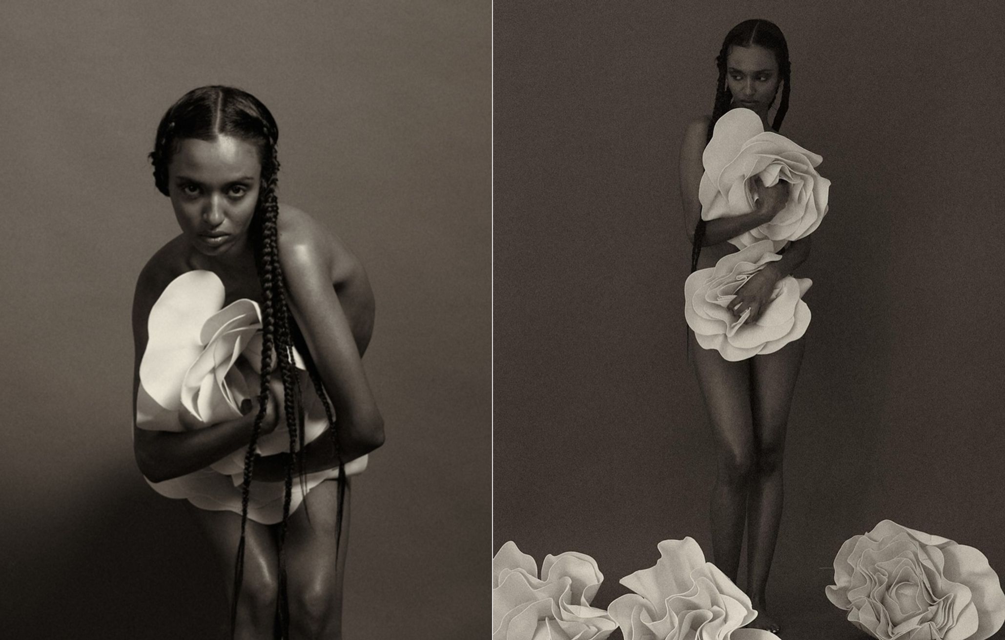 Model Image
