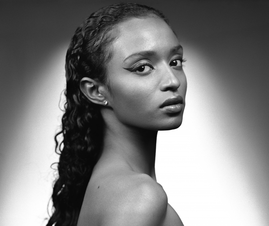 Model Image