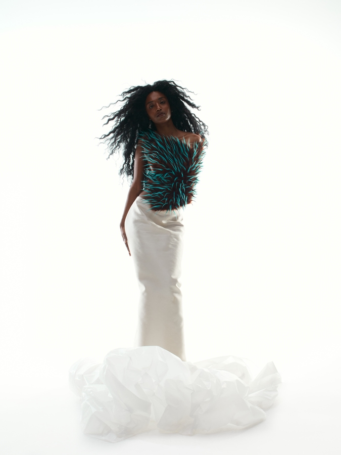 Model Image