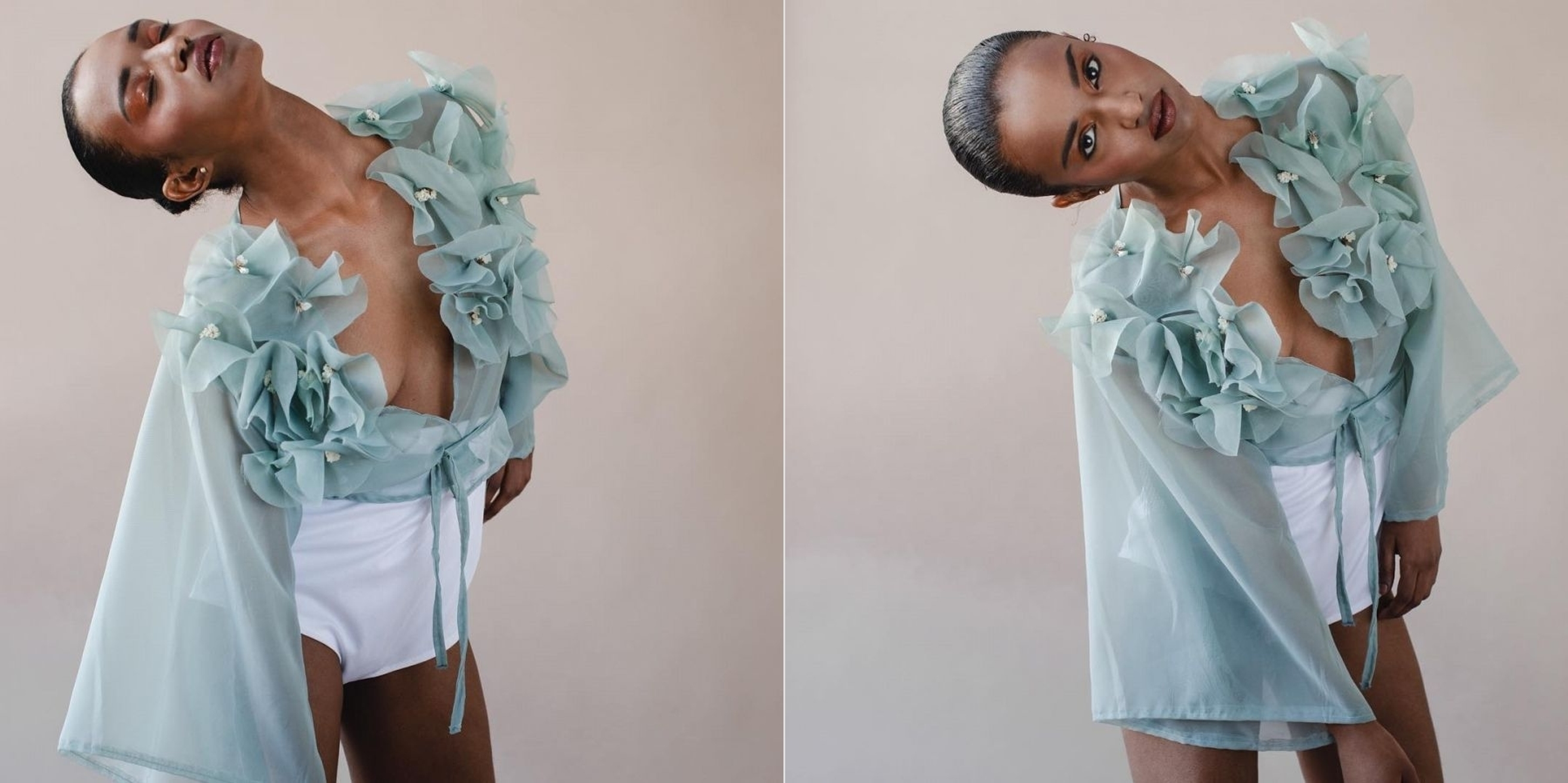 Model Image