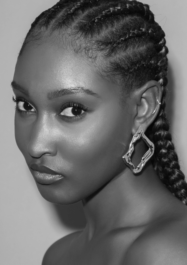 Model Image