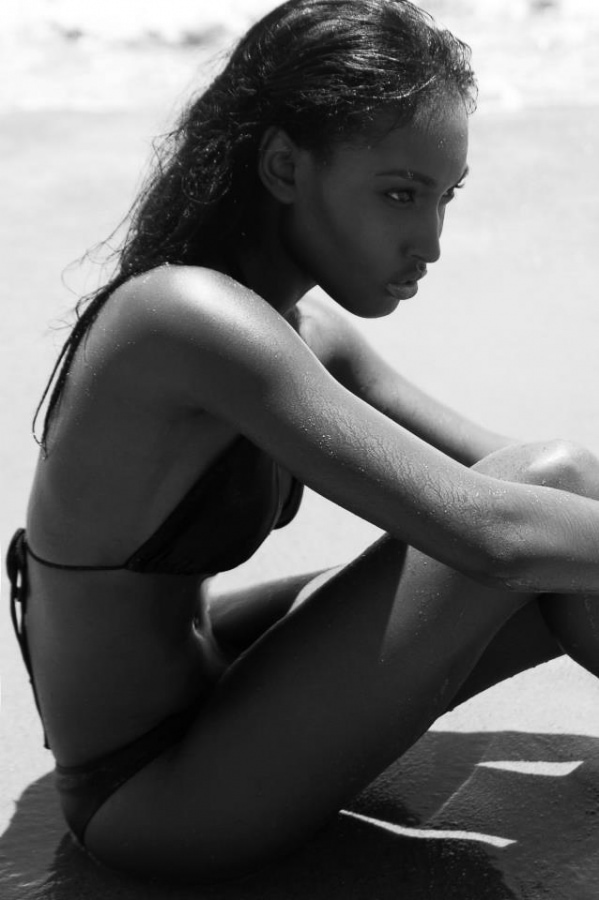 Model Image